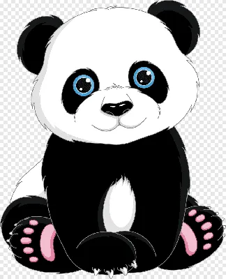 рисунок маленькой панды. симпатичный персонаж панды, нарисованный от руки в  розовых очках, читающий книгу. векторный рисунок Иллюстрация вектора -  иллюстрации насчитывающей шарж, график: 219828496