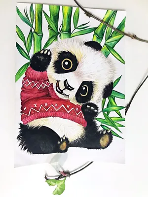 Панда,акварель | Рисунки панды, Рисунок панды, Маки картины