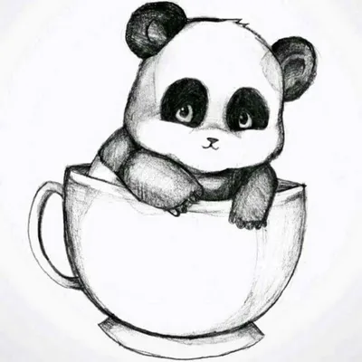 Рисунки панды для срисовки (78 фото)