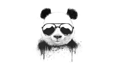 Пин от пользователя saliha на доске WALLPAPER | Рисунки панды, Рисунки  диснея, Рисунок панды