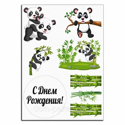 Рисунок панды для срисовки легкий для детей (33 шт)