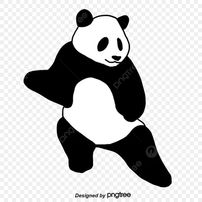 Рисунки панды для срисовки - 62 фото