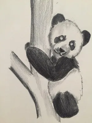 Нарисованная панда с галстуком-бабочкой — Картинки и аватары