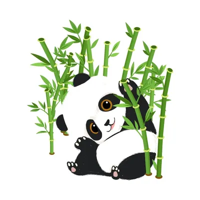 Откуда произошли панды и почему они едят бамбук - РИА Новости, 08.06.2019
