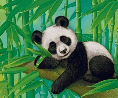 Панда с бамбуком» картина Чарыева Какаджана маслом на холсте — купить на  ArtNow.ru
