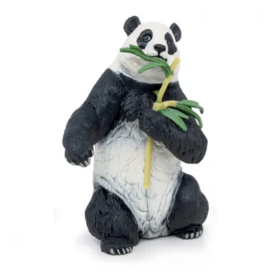 Панда с бамбуком (60 фото)