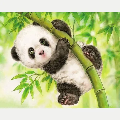 Панда и бамбук | Travel Photographer | Photorobus | Бесплатный фотосток