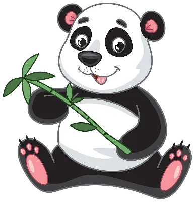 Научилась жевать бамбук. Панда Катюша готовится к китайскому Новому году |  Природа | Общество | Аргументы и Факты