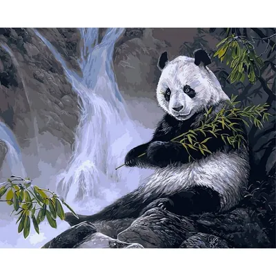 Панда Бамбук Млекопитающее Черное - Бесплатное фото на Pixabay - Pixabay