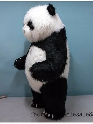 Игривая панда, нарисованное вручную анимированное чудо в полный рост |  Премиум Фото