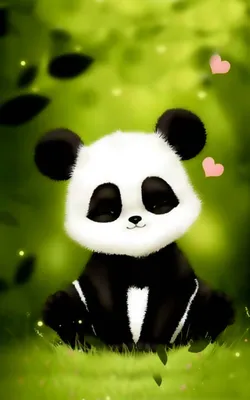 Красная панда редкое млекопитающее PNG , красный, панда, Редко PNG рисунок  для бесплатной загрузки