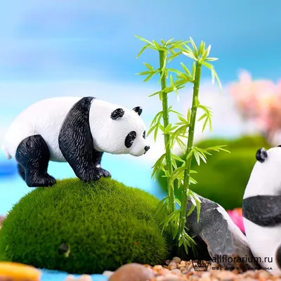 Катюша или Сяо Мо? Москвичи выбирают имя для малышки-панды из зоопарка |  Природа | Общество | Аргументы и Факты