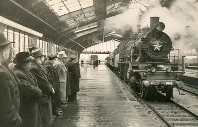 Паровозы «особой важности» - исторический путь правительственных поездов |  Train and Brain | Дзен