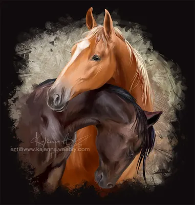 Картина по номерам на холсте 40*50 см \"Пара лошадей\" - купить с доставкой  по выгодным ценам в интернет-магазине OZON (250022737)
