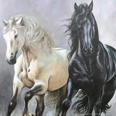 Картина стразами \"Пара лошадей\" (АЖ-1386) - отзывы покупателей на  маркетплейсе Мегамаркет | Артикул: 100025523836