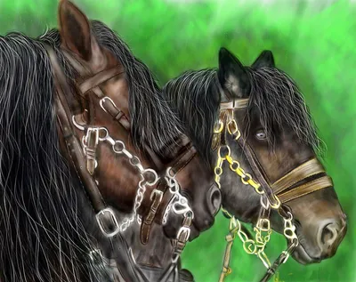Две лошади - красивые пары лошадей