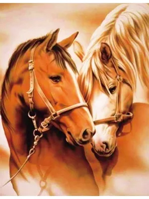 Пара лошадей | AG-ARTGALLERY