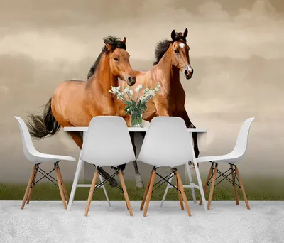 Влюбленная пара коричневых лошадей - обои для рабочего стола, картинки, фото