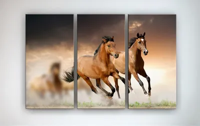 Купить плакат Пара лошадей от 290 руб. в арт-галерее DasArt