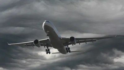 СМИ: некоторые пассажиры разбившегося в Египте A321 могли выжить // Новости  НТВ