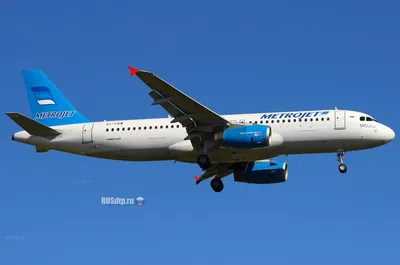 СК продолжает расследование теракта на борту Airbus А321 в Египте - AEX.RU