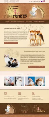 Создание сайтов для питомников собак - Веб-студия KS Design Stidio создание  сайтов