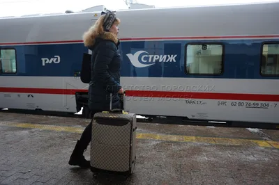 Поезда Москва - Берлин временно прекращают курсировать из-за коронавируса -  ТАСС