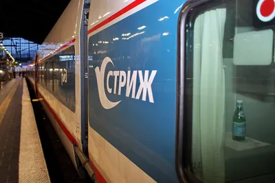 Со скоростью «Стрижа»: в Москву можно комфортно добраться поездом - МК  Германия