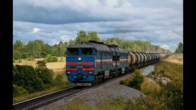 РЖД запустит дополнительные поезда на юг России из-за отмены полётов