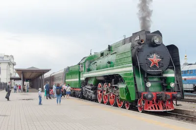 Сапсан», «Ласточка» или «Невский экспресс»: какой высокоскоростной поезд  выбрать для поездки по России, чем они отличаются — Яндекс Путешествия