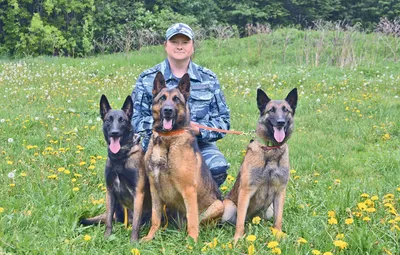 Национальной полиции Украине передали новые прицепы для полицейских собак –  EU NEIGHBOURS east