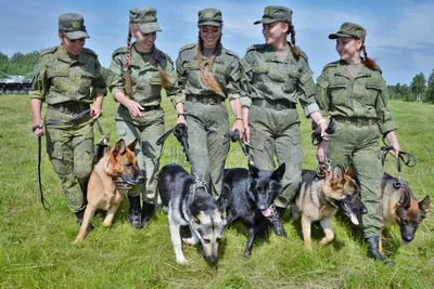 Щенячий патруль: кто и как учит служебных собак