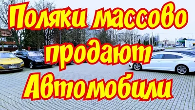 Ароматизатор в авто, серия приколы «Удачи на дороге» - РусЭкспресс