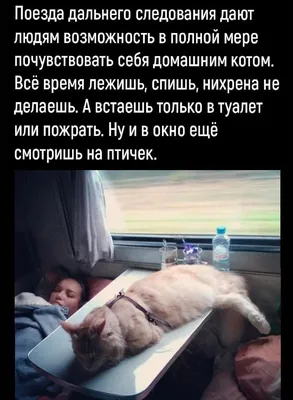 Мрак и ад российских поездов (50 фото)