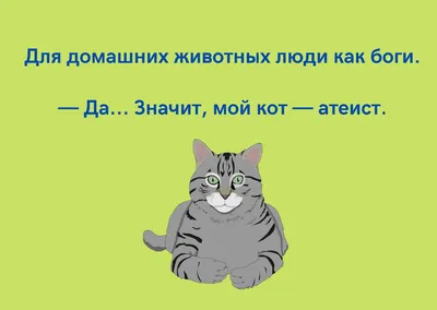 Милые, смешные животные любимцы собаки и кошки щенка золотого Retriever  друзей Стоковое Изображение - изображение насчитывающей пахнуть, золотисто:  142445359