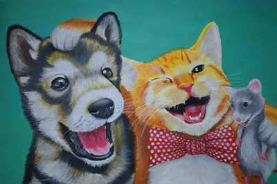 10 смешных комиксов, в которых сравниваются кошки и собаки, а также  показываются их взаимоотношения друг с другом | Смешные картинки | Дзен