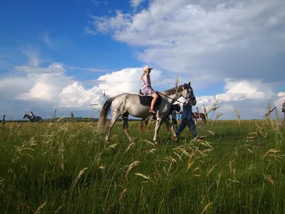 Какой конь наилучший? | Ислам в Дагестане
