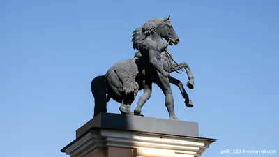 Клодт П.К. Модели скульптурных групп «Укротители коней» для Аничкова моста  в Санкт-Петербурге