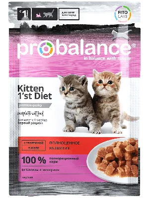 Сухой корм Pro Plan Original Kitten для котят от 1 до 12 месяцев – Корм для  кошек