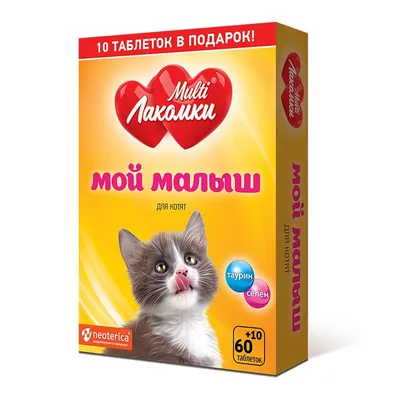 Томичей приглашают на благотворительную выставку котят и кошек - Томский  Обзор – новости в Томске сегодня