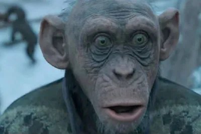 Планета обезьян 4: Новое царство — Русский трейлер (Дубляж, 2024) - YouTube