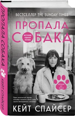 На границе России и Беларуси пропала собака породы чихуахуа | Питомцы  Mail.ru | Дзен