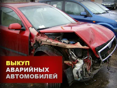 За шесть разбитых автомобилей тюменец ответит в суде | Вслух.ru