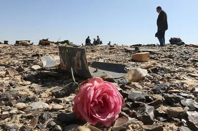 В авиакатастрофе над Синаем погибли 224 человека - 31 октября 2015 - e1.ru