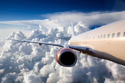 МЧС России: Местожительство всех пассажиров разбившегося в Египте самолета  установлено - AEX.RU