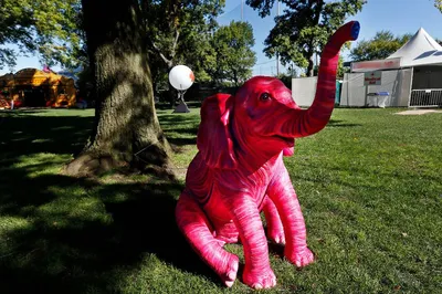 Сет Розовый слон - BoomBalloon