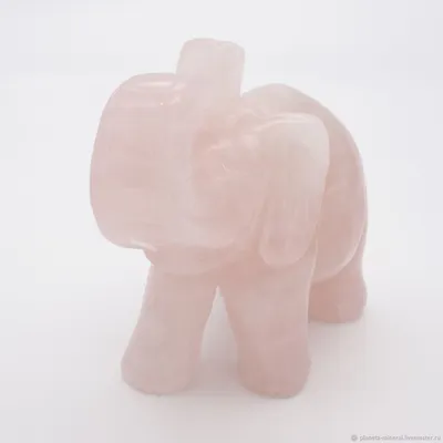 Милая девушка розового слона с смычком и юбкой дует вне свечи на именнином  пироге Делает желание Иллюстрация вектора - иллюстрации насчитывающей  радостно, цирк: 88441954