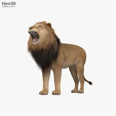 Морда рычащего льва, Животные 3D модель для ЧПУ: STL / MAX (obj)