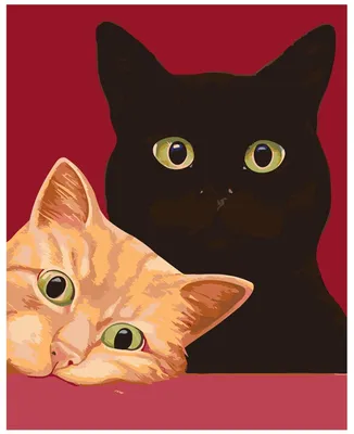 Рыжий кот и черная кошка - картинки и фото koshka.top