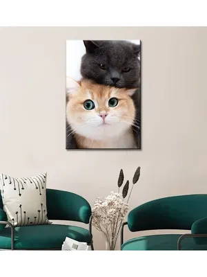 Черный кот и рыжий кот арт фурри» — создано в Шедевруме